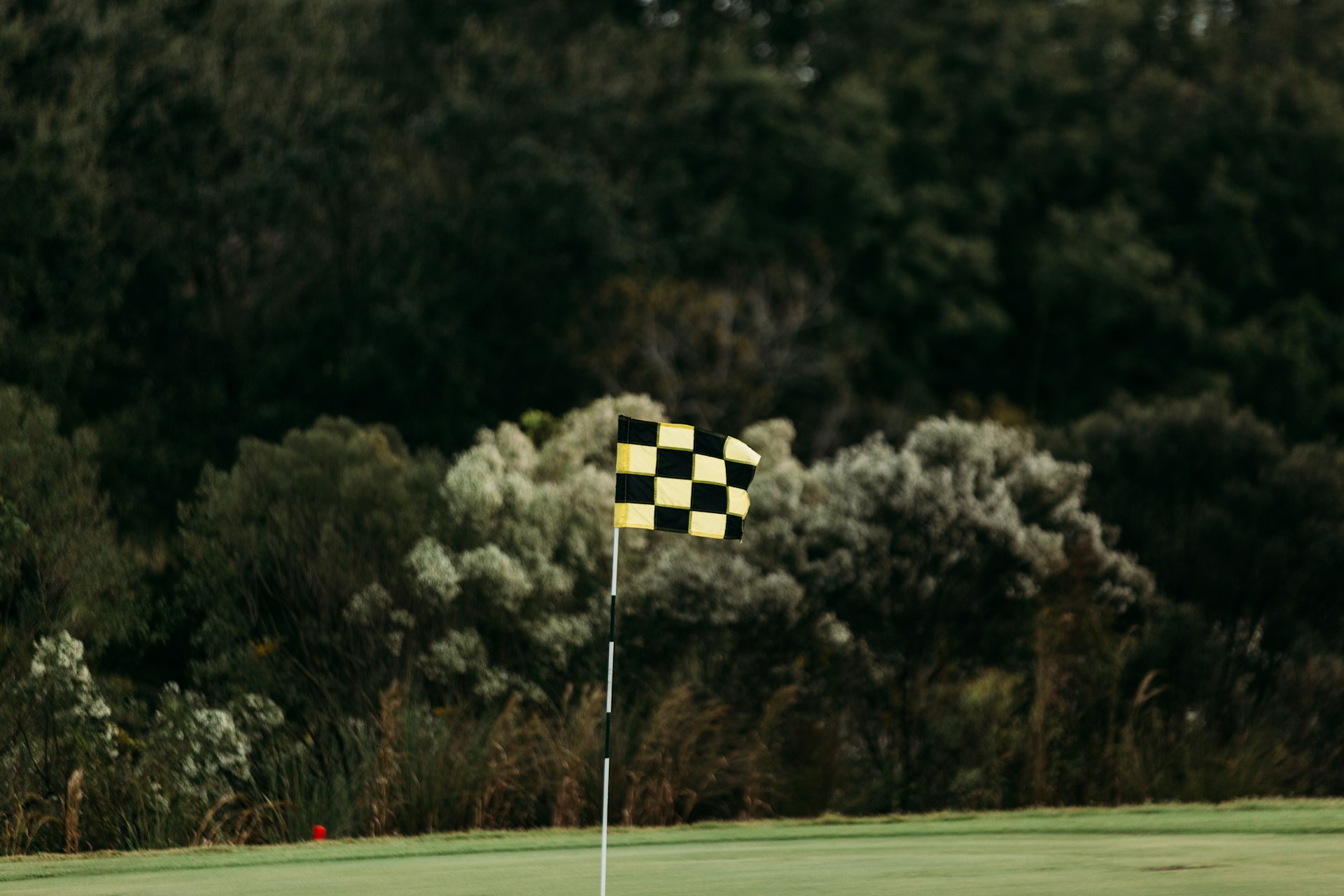 Pines and fairway at Pinehurst, North Carolina