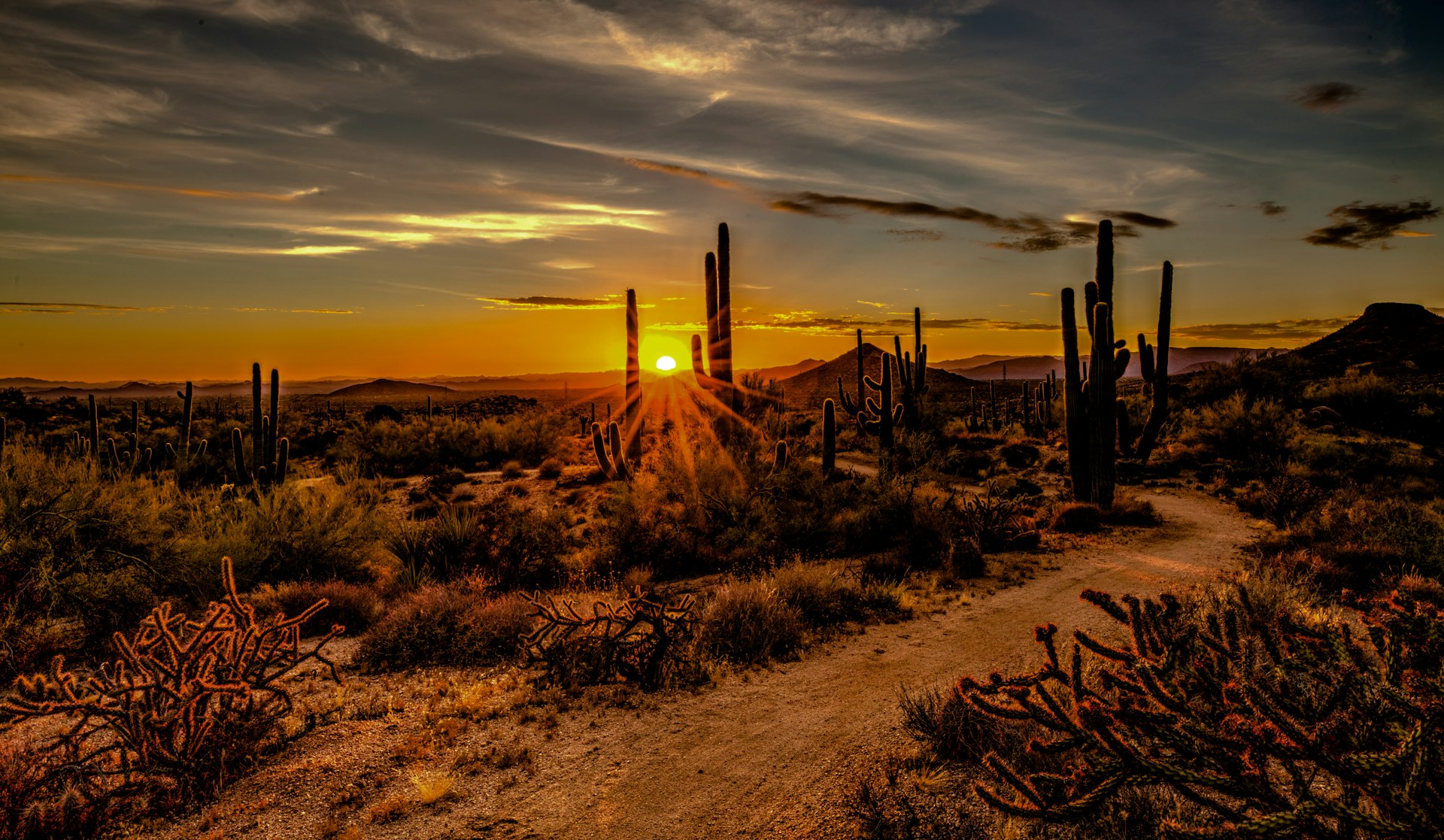 Desert landscape near Scottsdale, Arizona